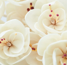 Load image into Gallery viewer, Reed Bundles
